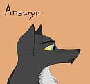 Answyr