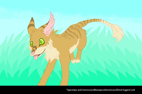 Tigerstripe