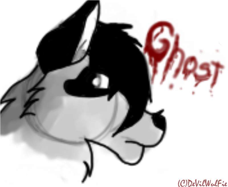 Ghost: MY CHARACTER