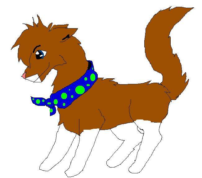 Yorkie again!