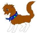 Yorkie again!