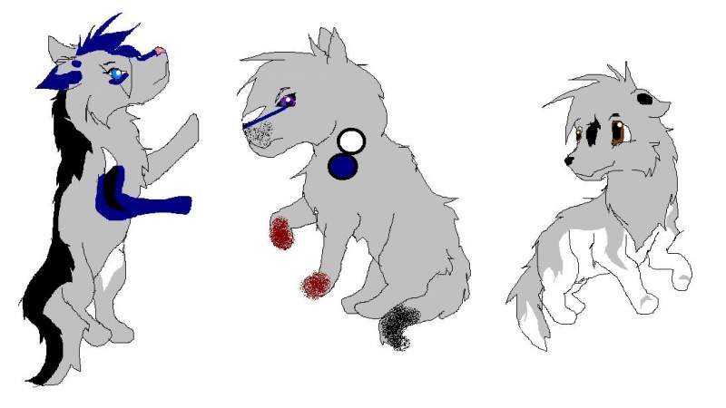Quentin and Sorrow's pups