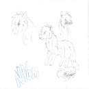 NiVom