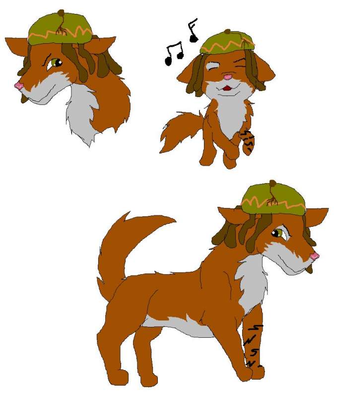 Bongos (boe) poses