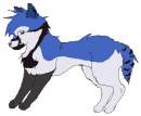 Blue jay 