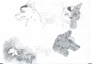 Spook and Impy