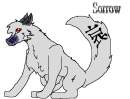 Sorrow