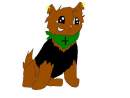 torry
