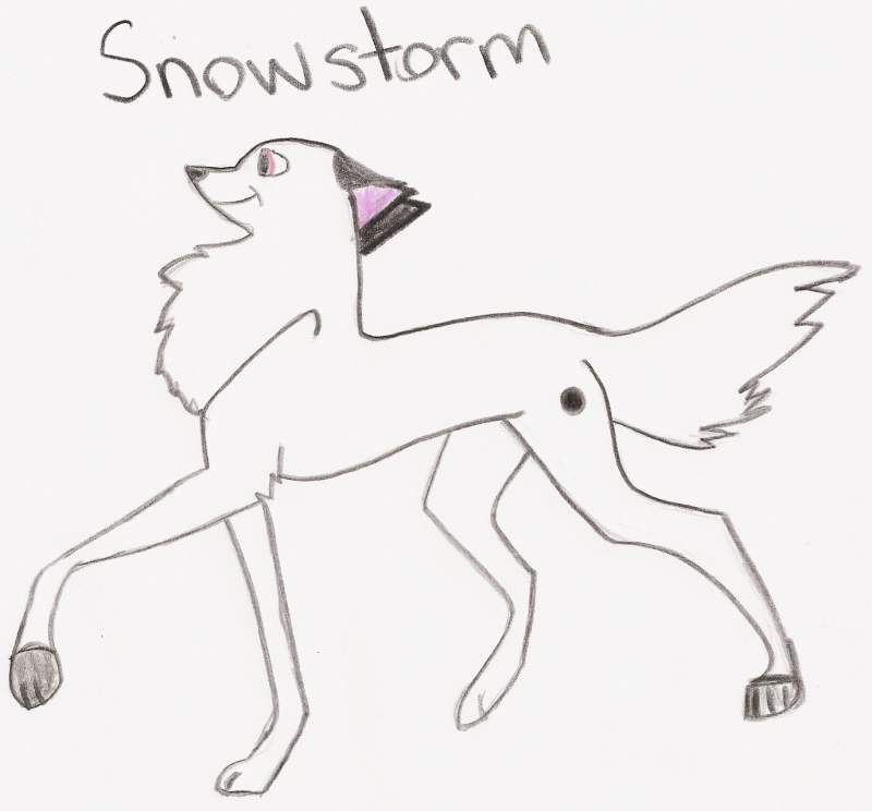Snowstorm