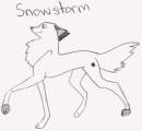 Snowstorm