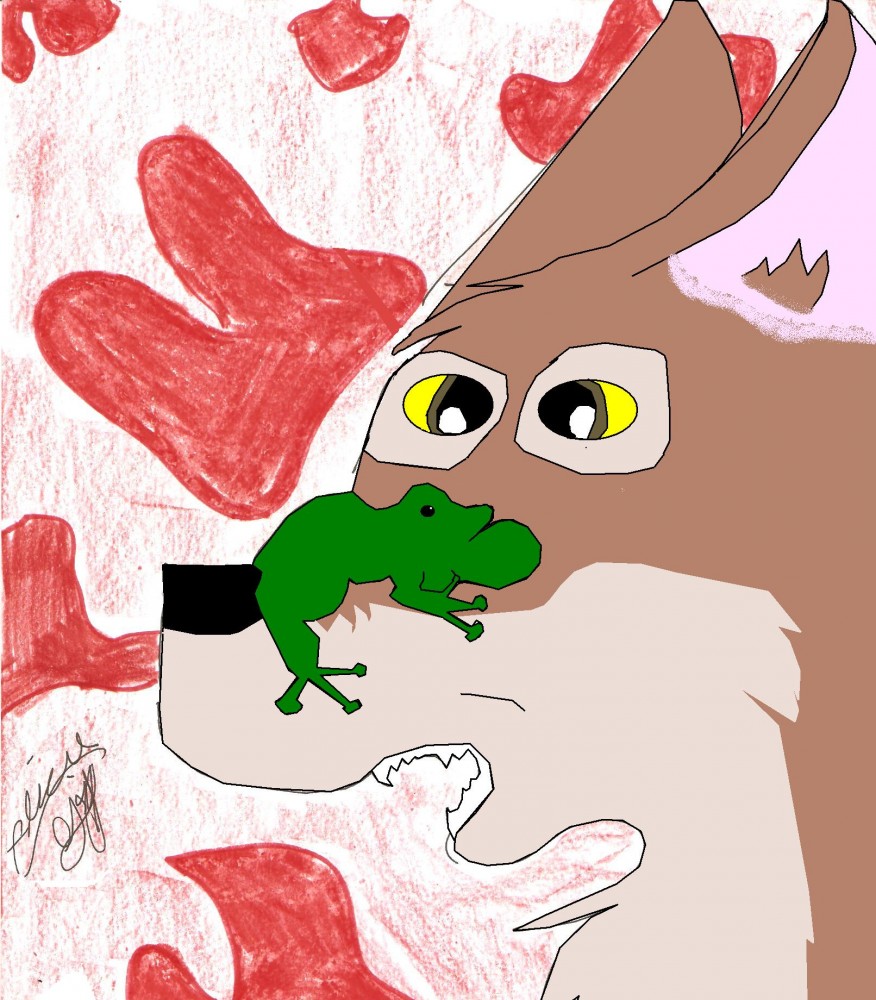 the frog