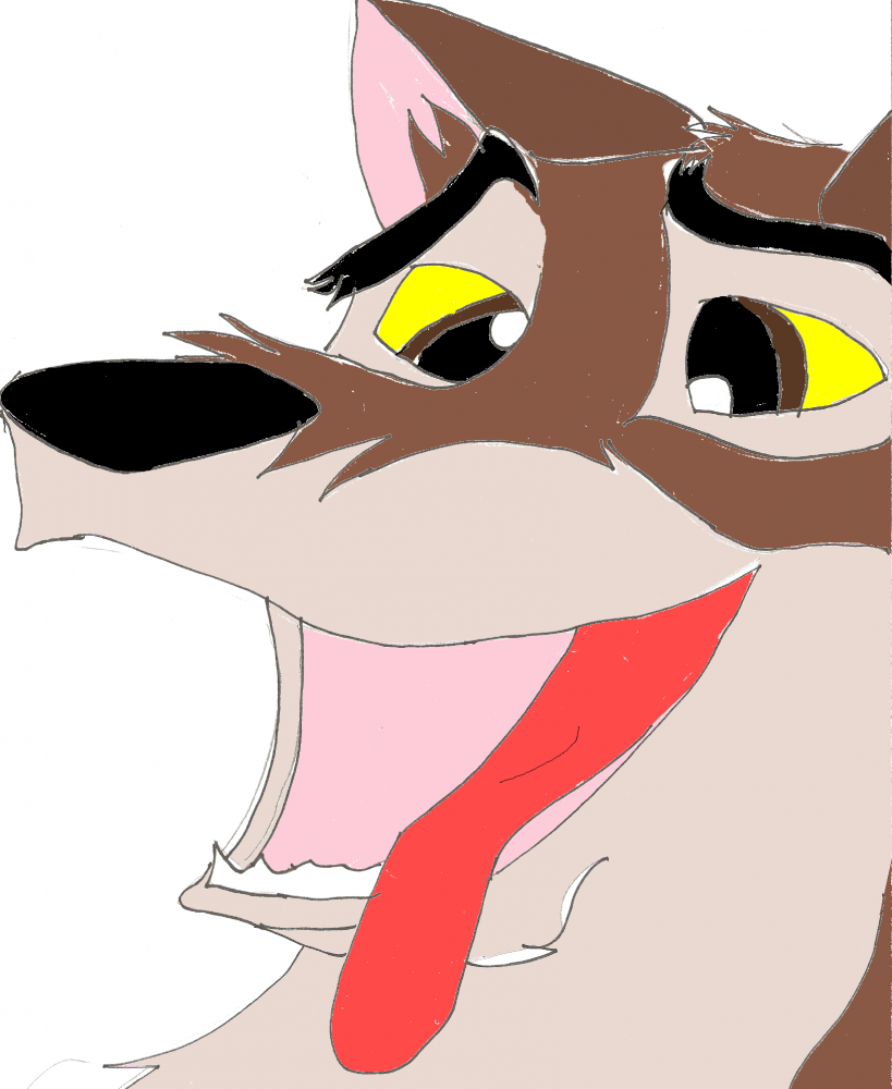 random Balto