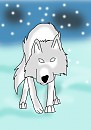 White wolf