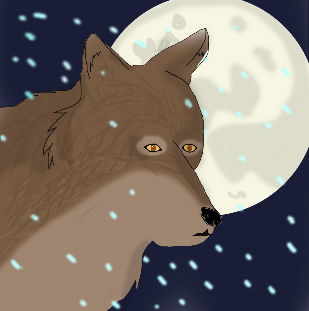night of the moon