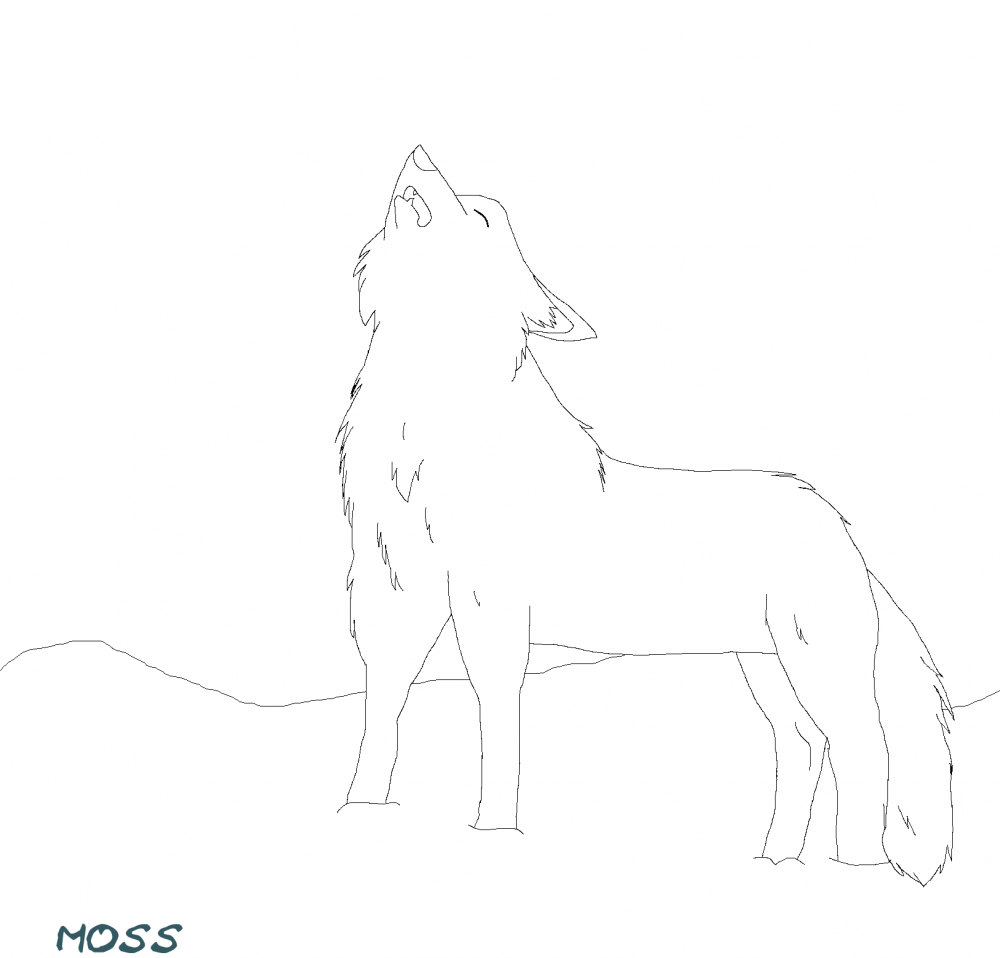 Lineart