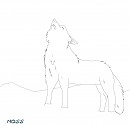 Lineart
