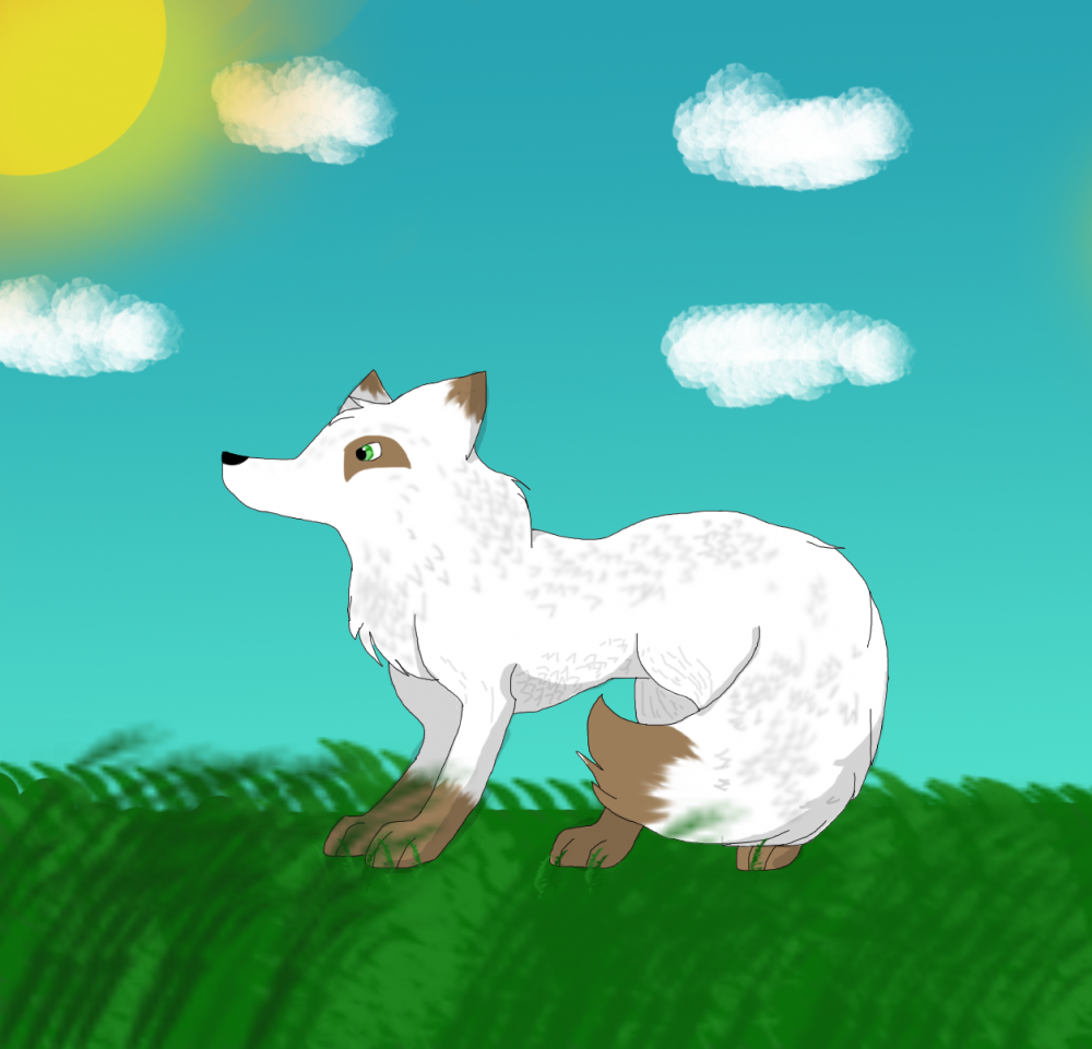 Spring