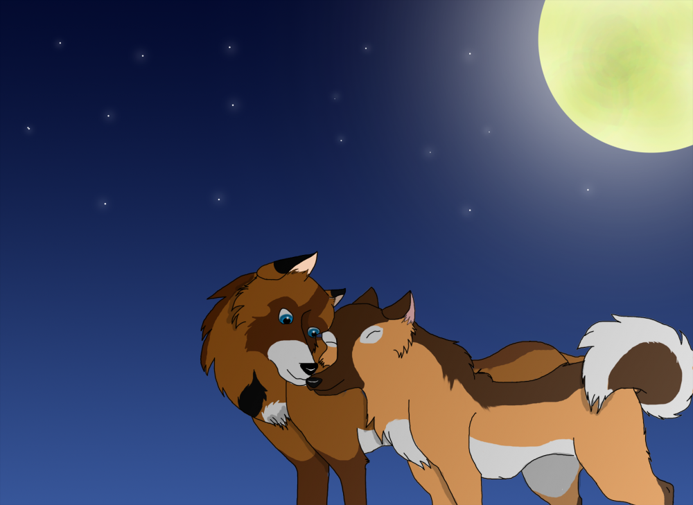 Moonlight walk