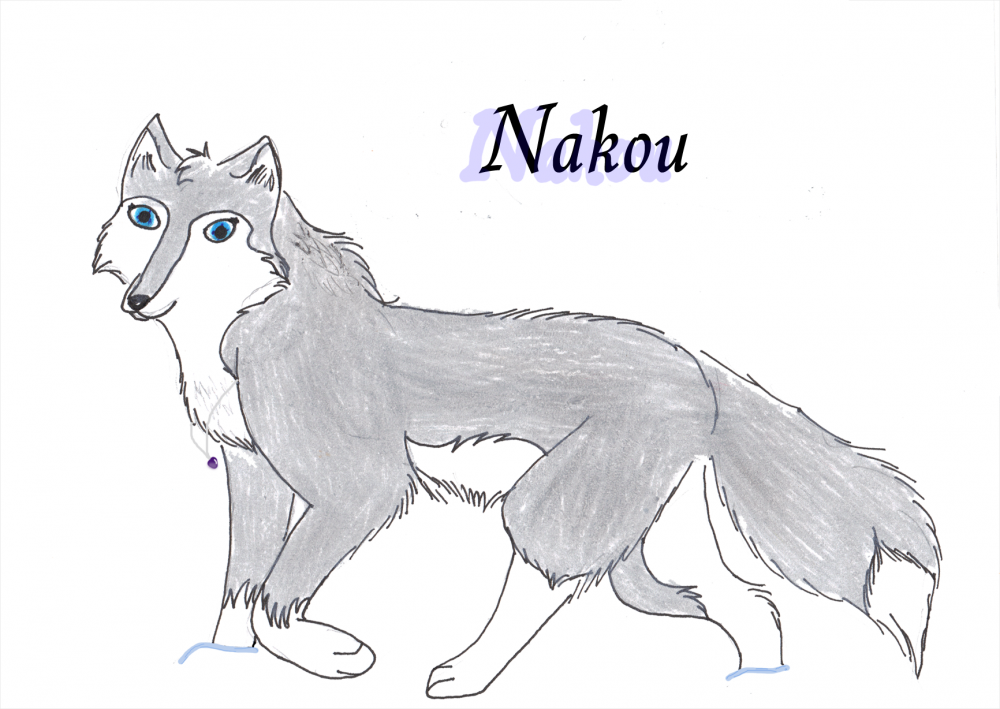 Nakou