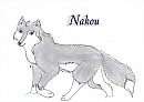 Nakou