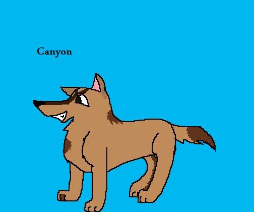 Canyon