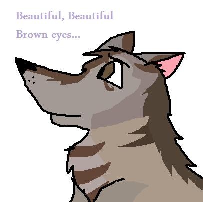 Beautiful, Beautiful brown eyes...