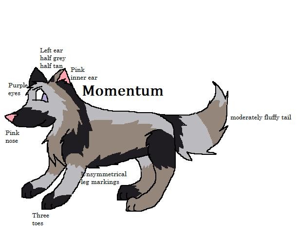 Momentum Ref. Sheet