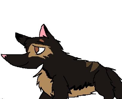 Jayce