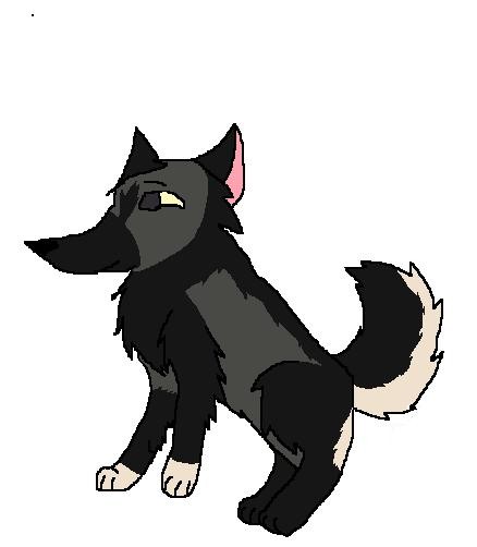 Puppy Zephyrus