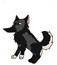 Puppy Zephyrus
