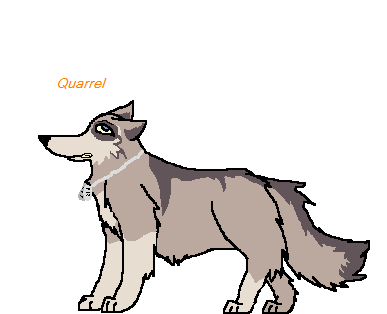 Quarrel