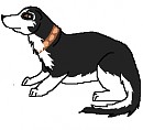 Steele mink form