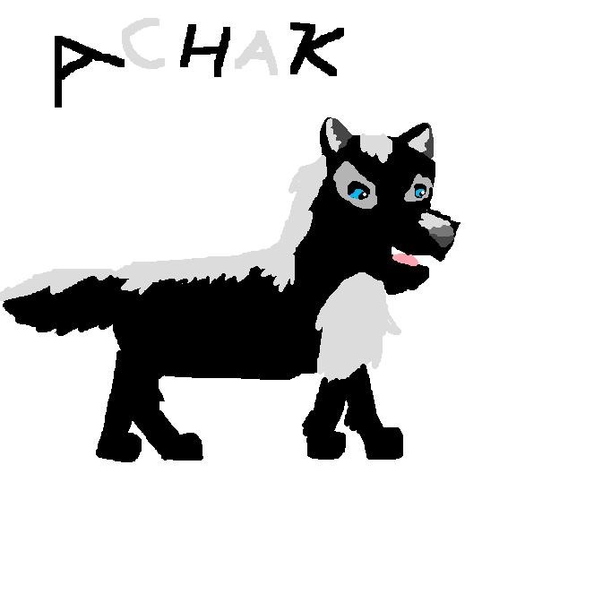 achak