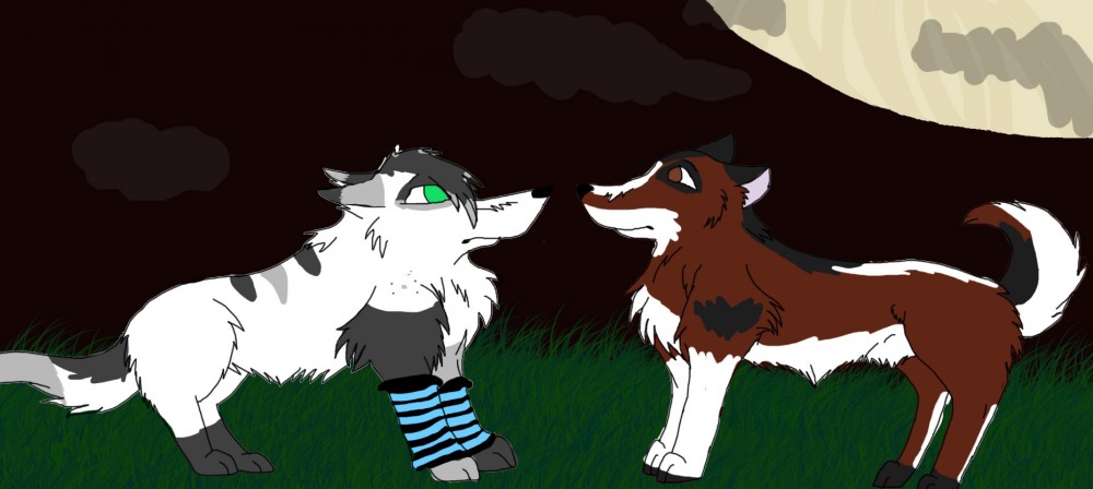 Look at the happy couple 8D