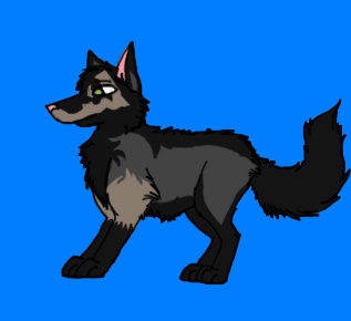 New otzi design -{Test}-