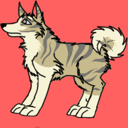 New akita char :D