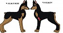 Dobbie dou