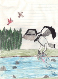 hawk with fish