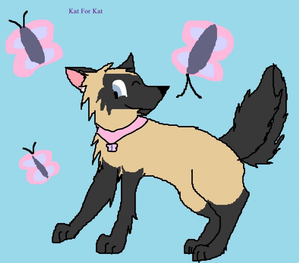 Kat-ness