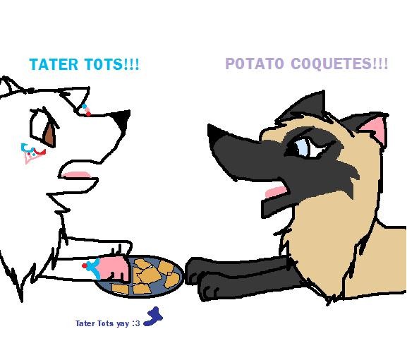 Theyre called TATER TOTS
