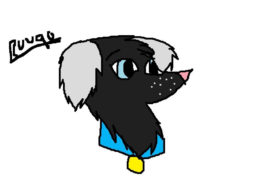 Ruuqo Headshot