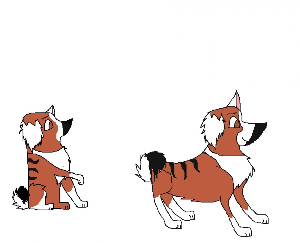 Ami doodles