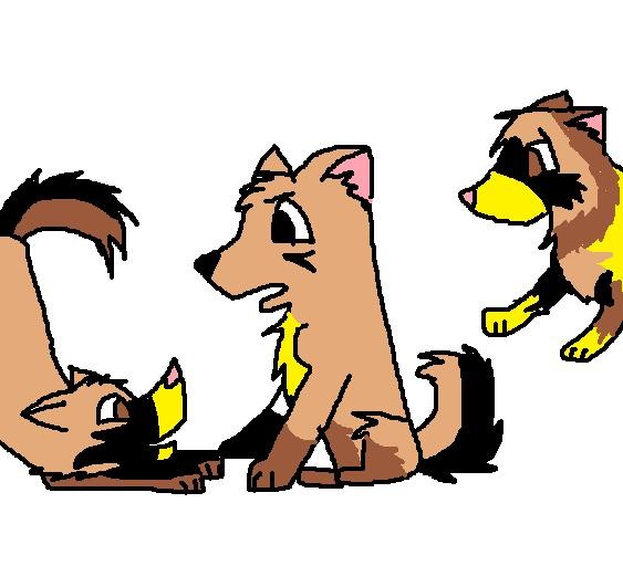 Half the pups