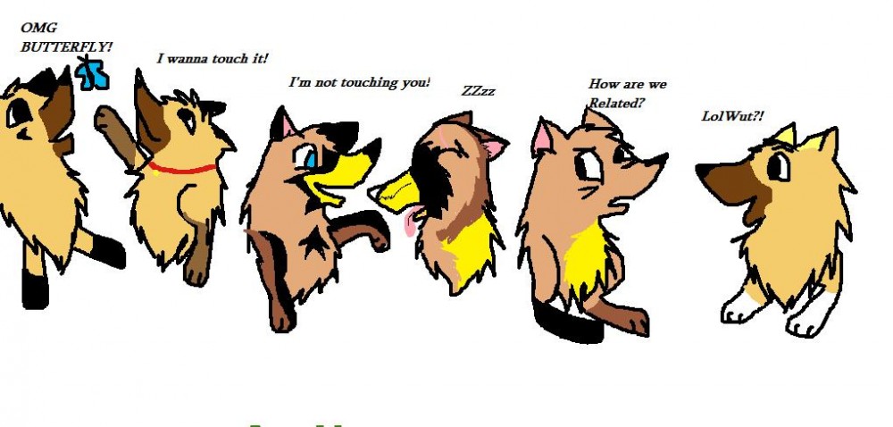 All six pups