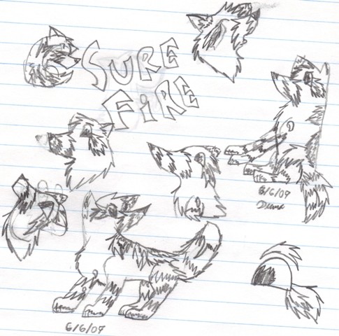 Orignal Surefire (Wildfire) Desgin
