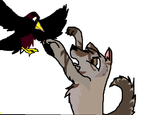 For the birds