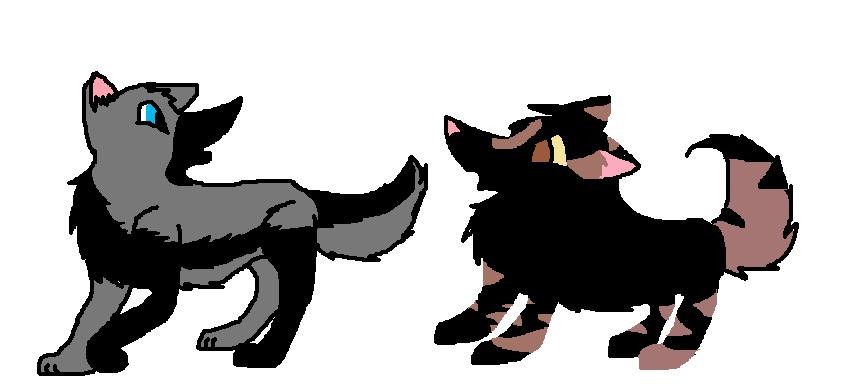 Markus and Shard