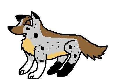 Mhmm Grace+boomerang puppeh