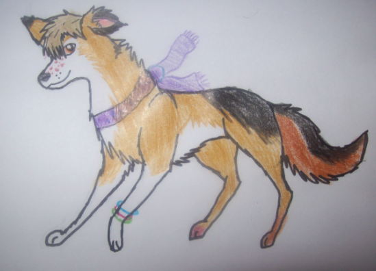 My second fursona Amy Rose