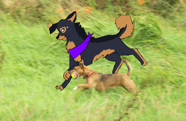 Yameeka running